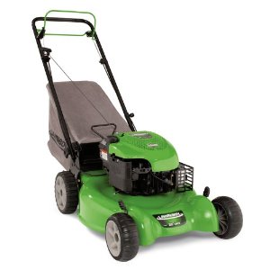 Lawn Boy 10640