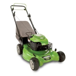Lawn Boy 10647